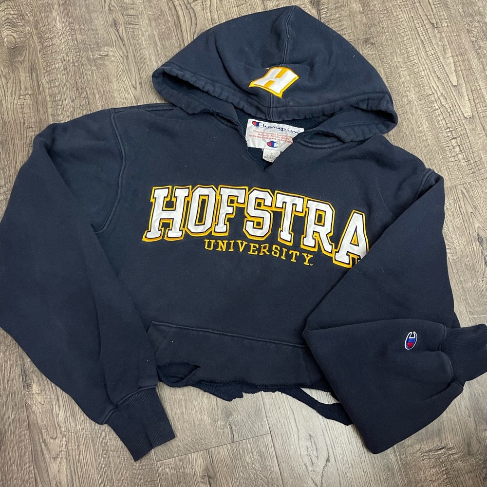 Vintage Hofstra Cropped Hoodie